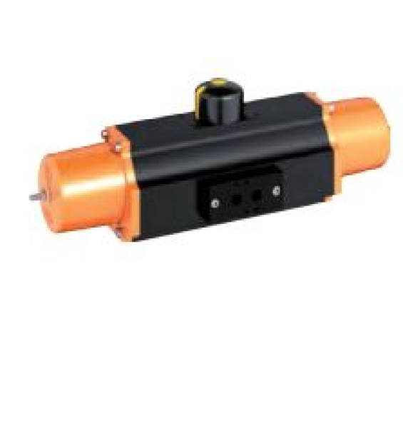 P08FOD